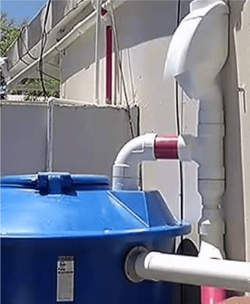 recogido-agua recogido de agua